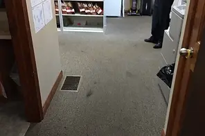 Carpet cleaning