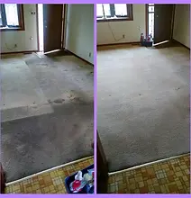 Carpet cleaning