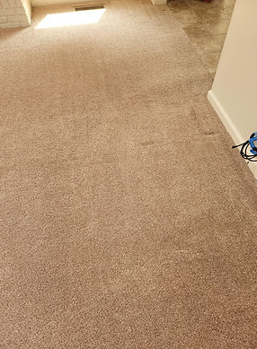 Carpet cleaning 